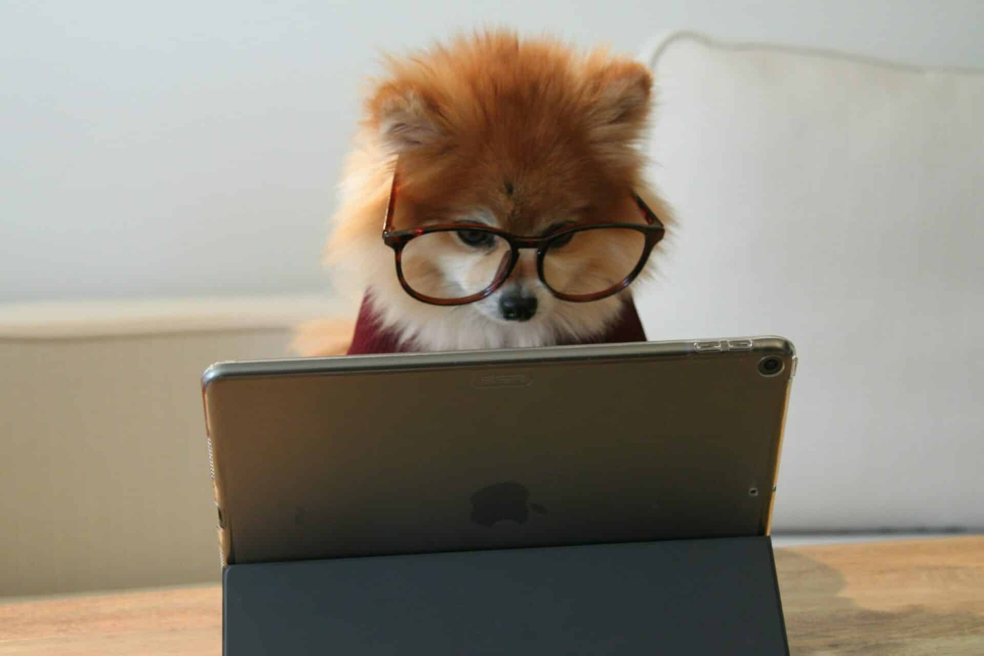 Effektive Strategien zur Minimierung von Sicherheitsrisiken: Informationssicherheit für Geschäftsführer