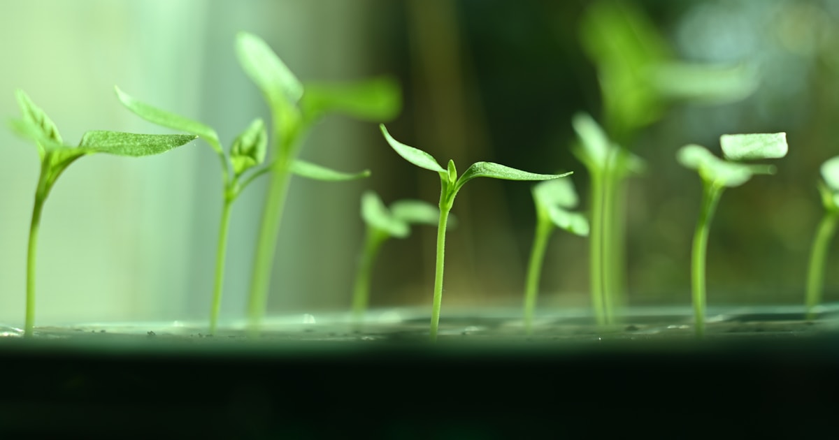 Greenwashing-Verbot 2026: „klimaneutral“ ist ab dem 27. September raus