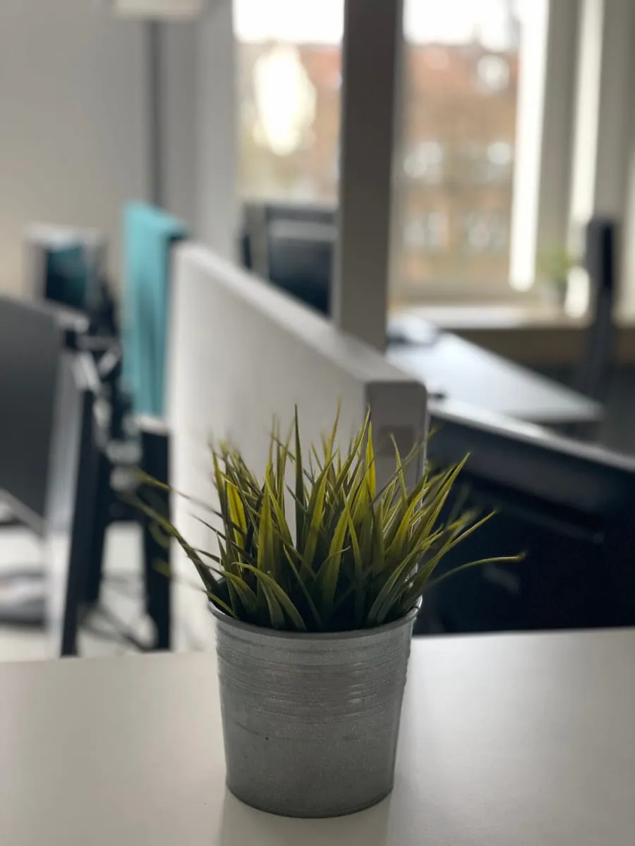 Büro von frag.hugo in der Hamburger Spaldingstraße — Ihr Ansprechpartner für Security Awareness in Rostock